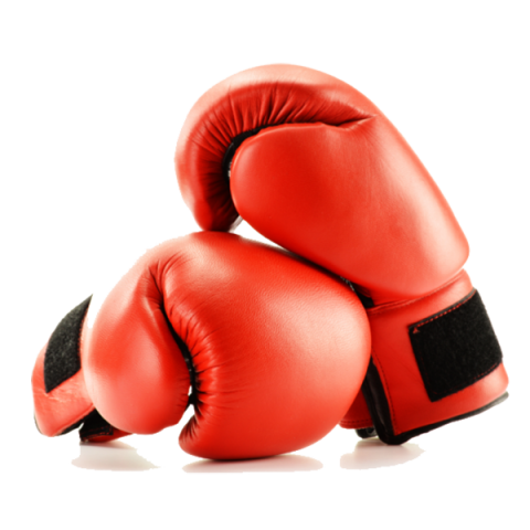 Pair Red Gloves Box Kickboxing Muay Thai