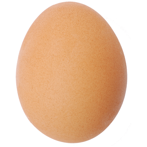Real Single Brown Egg HD Transparent Background