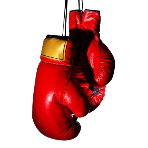 Hanging Pair Red Gloves Box Kickboxing Muay Thai