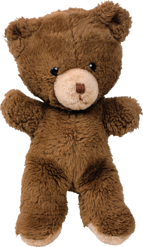 Toy bear PNG