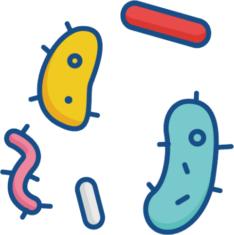 Bacteria PNG image with transparent backgroun